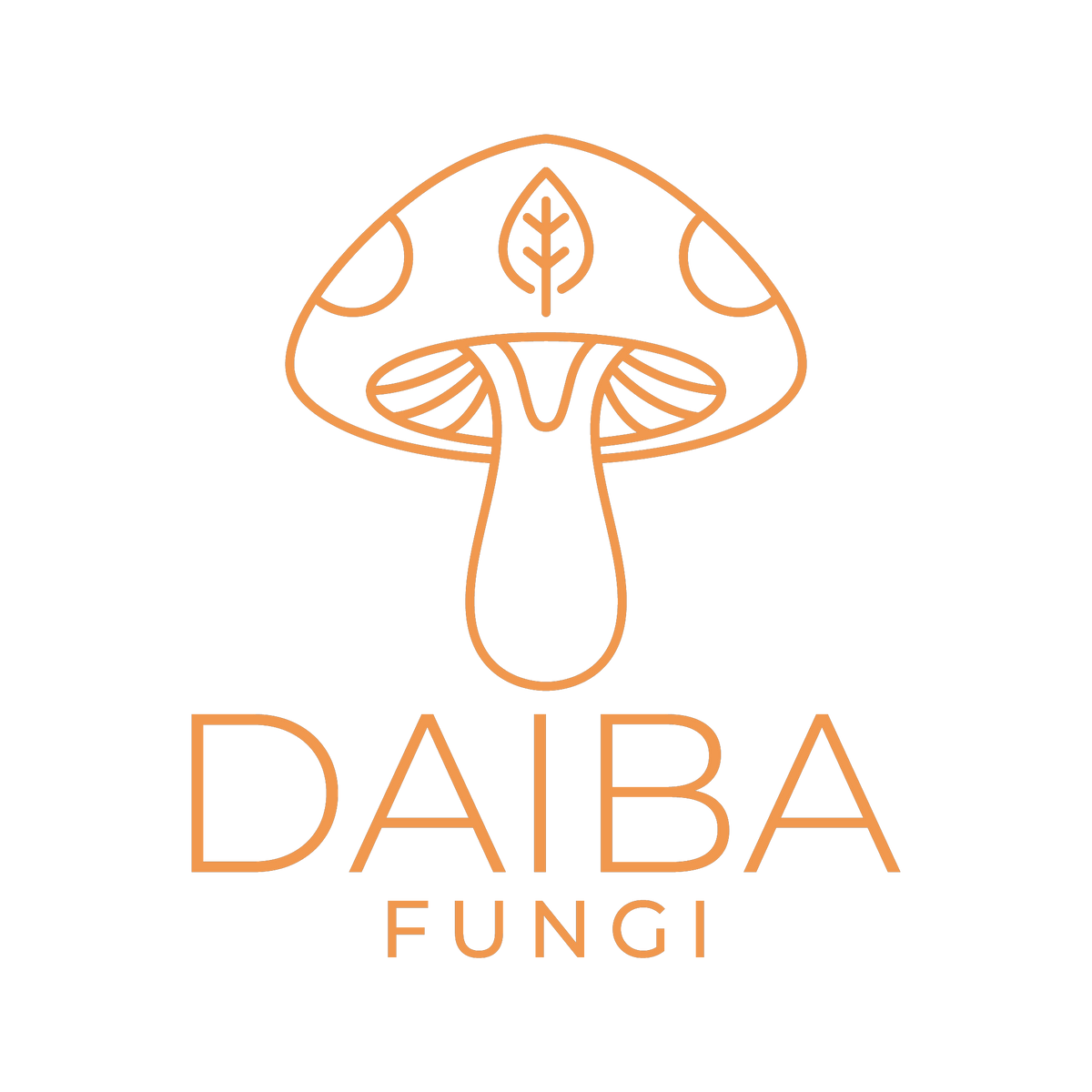 Daiba Fungi