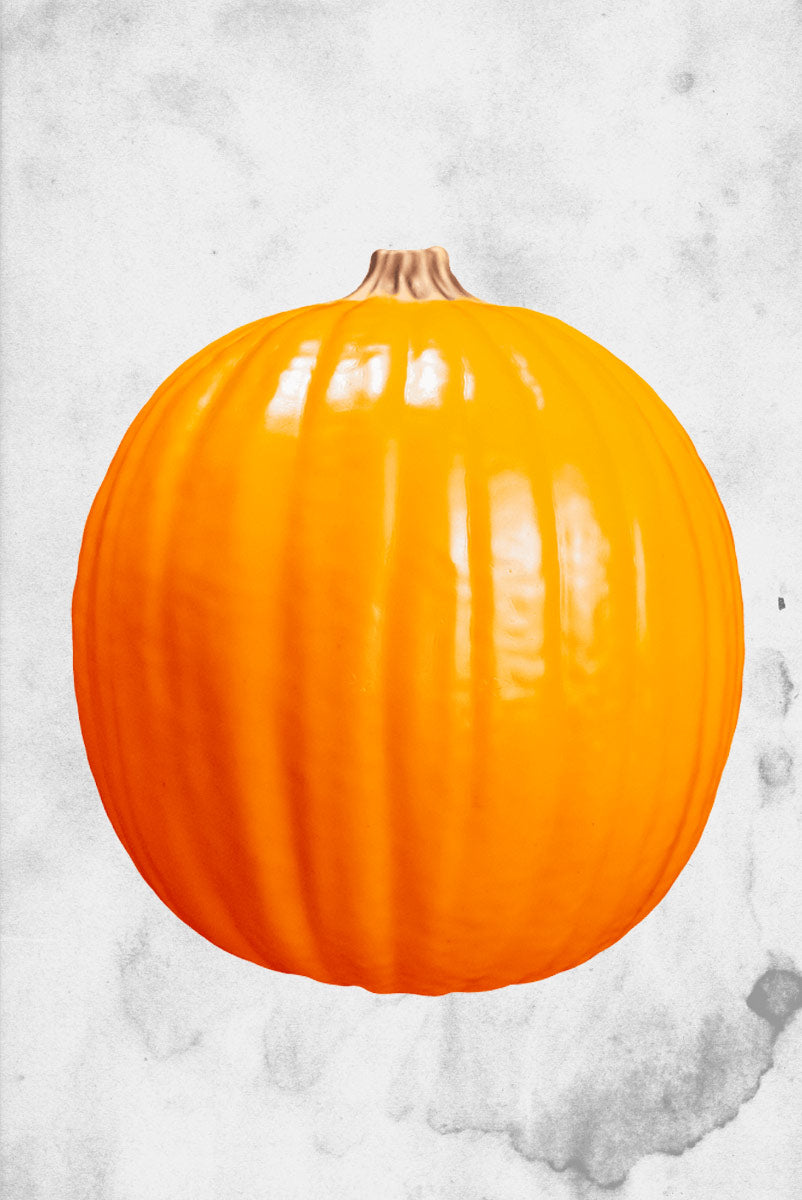 Halloween (2018) Light Up Pumpkin