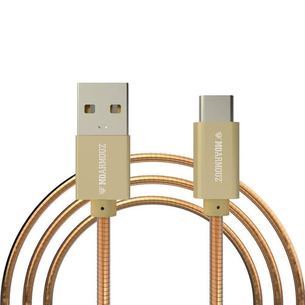 Cable USB Type C 3.1A-1 mètre avec ressorts de protection anti