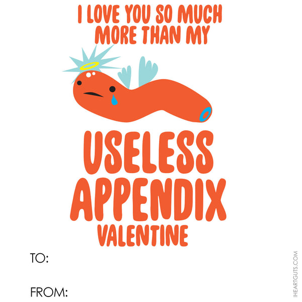 appendix valentine