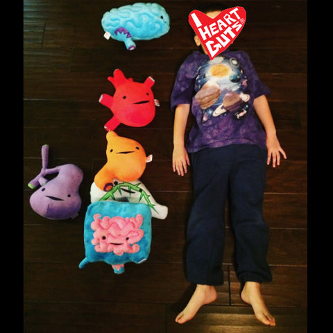 educational anatomy stuffed toys plushie organs body parts plush toy