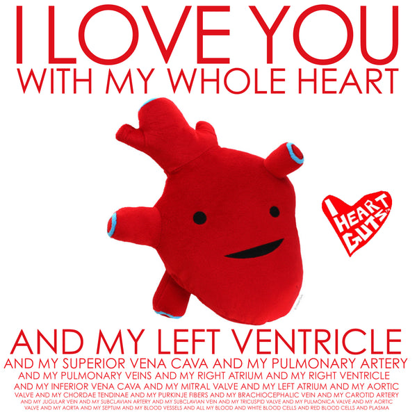 anatomical heart cardiology valentine