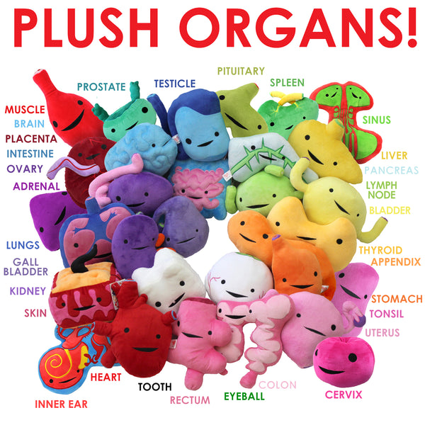 Organ Toys