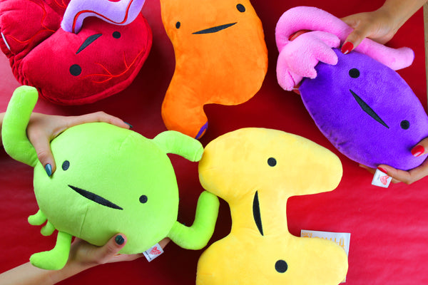 plush organs funny cute surgery gift amazon fast shipping