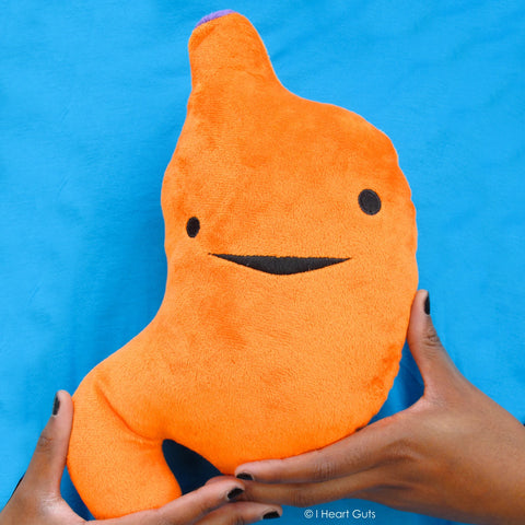 organ plush - organ pillow - stomach pillow - stomach plushie