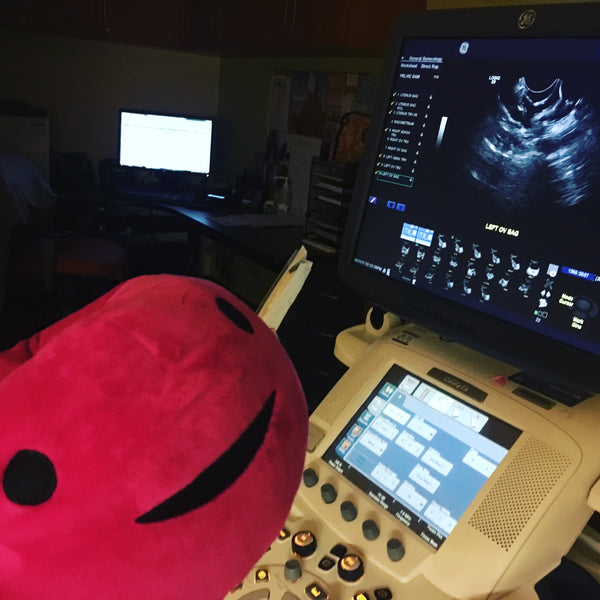 Cervical ultrasound images