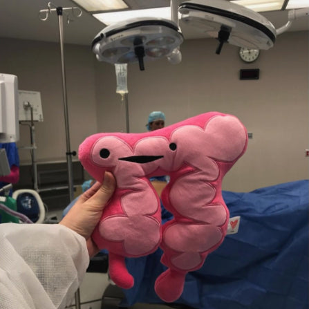 cute intestine colon plush toy surgery ostomy colon cancer funny gift