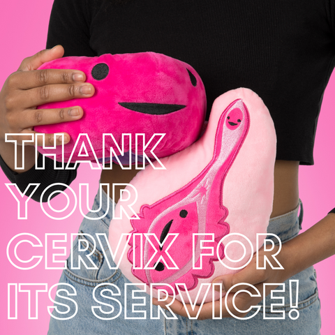 text reading "thank your cervix for its cervix" overlaid on image of woman holding a stuffed vagina and cervix plush pillow