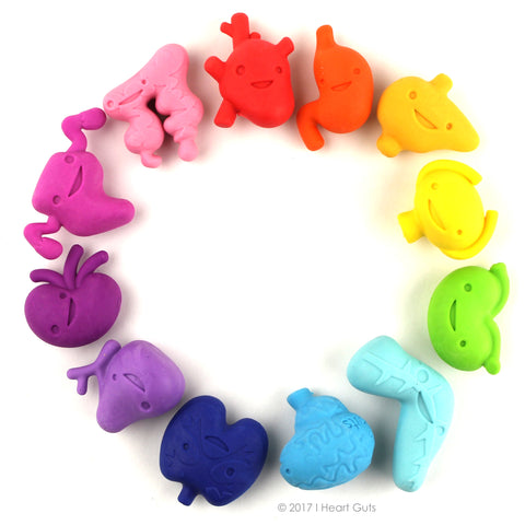 Happy Organ Erasers by I Heart Guts