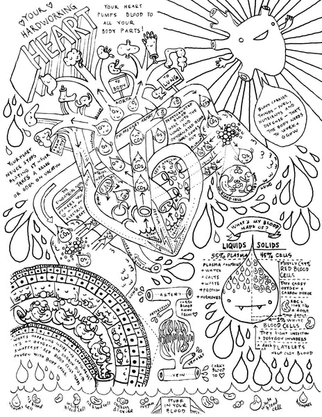 Heart and Circulatory System Coloring Page