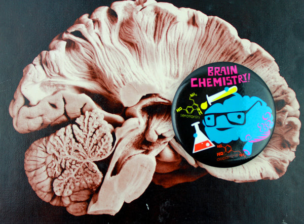 brain magnet mental health neuroscience nerdy cute funny neurology brain anatomy bio