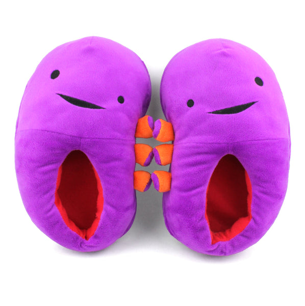 kidney pair - kidney slippers - kidney donor slippers