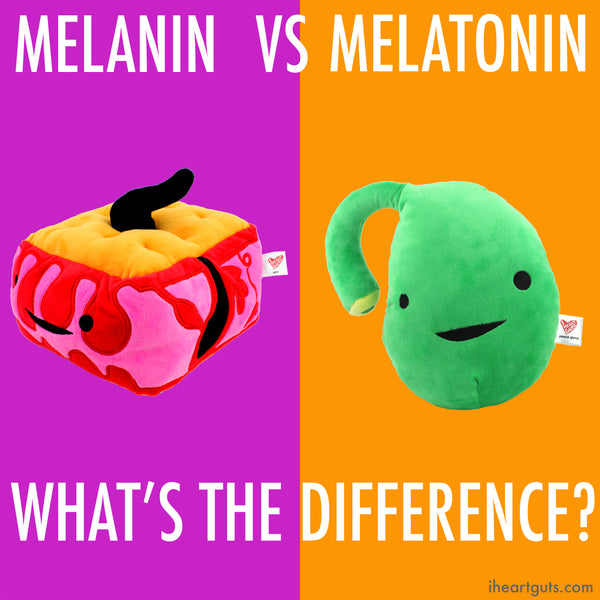 Skin Melanin - Pineal Melatonin