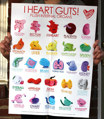 Plush Organs Poster - Cute Human Body Poster