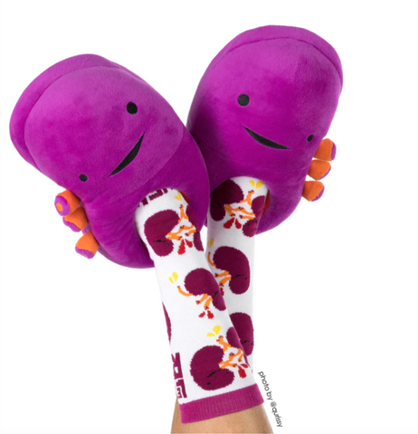 Kidney Plush Slippers - Kidney Surgery Gift - Organ Plushie - Funny Anatomy Gift - I Heart Guts