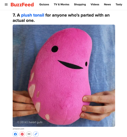tonsil plushie care package surgery recovery tonsillectomy funny gift humor