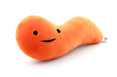 Appendix Plush - Plush Organ Stuffed Toy Pillow - Anatomy Pillow - Organ Plushie - I Heart Guts