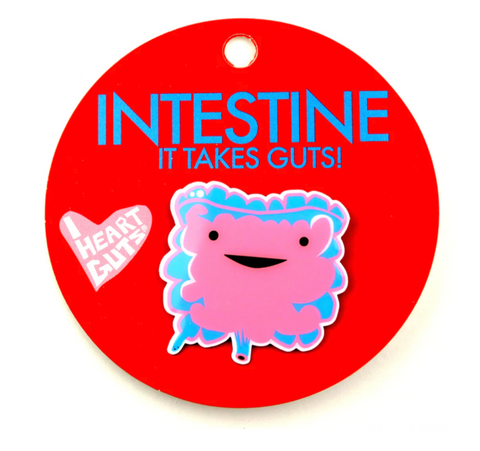 Intestine Lap Pin - Anatomy Pin - Organ Pin - I Heart Guts