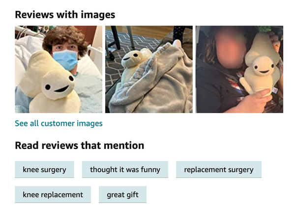 knee plush funny cute surgery gift humor total knee replacement torn ACL