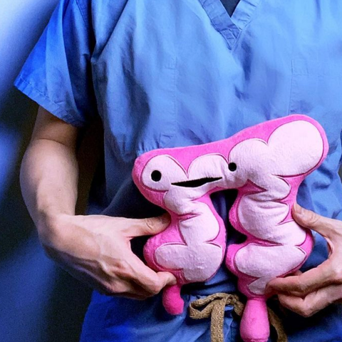 future doctor gifts teen anatomy plushie funny cute medical stuffed animals