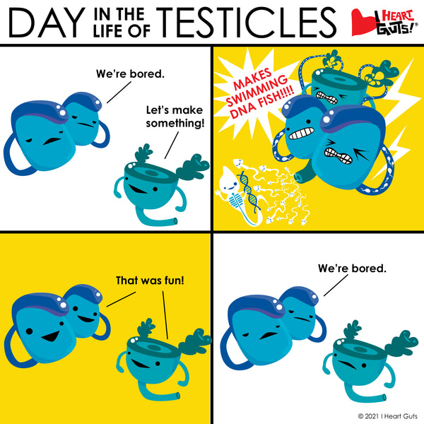 Testicle Comic