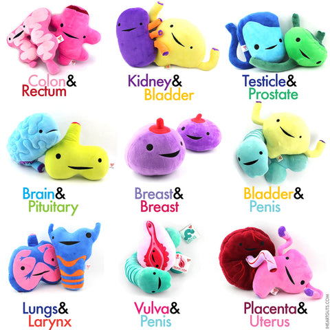 Product photography of I Heart Guts plush toys in pairs: Colon & Rectum, Kidney & Bladder, Testicle & Prostate, Brain & Pituitary, Breast & Breast, Bladder & Penis, Lungs & Larynx, Vulva & Penis, and Placenta & Uterus.