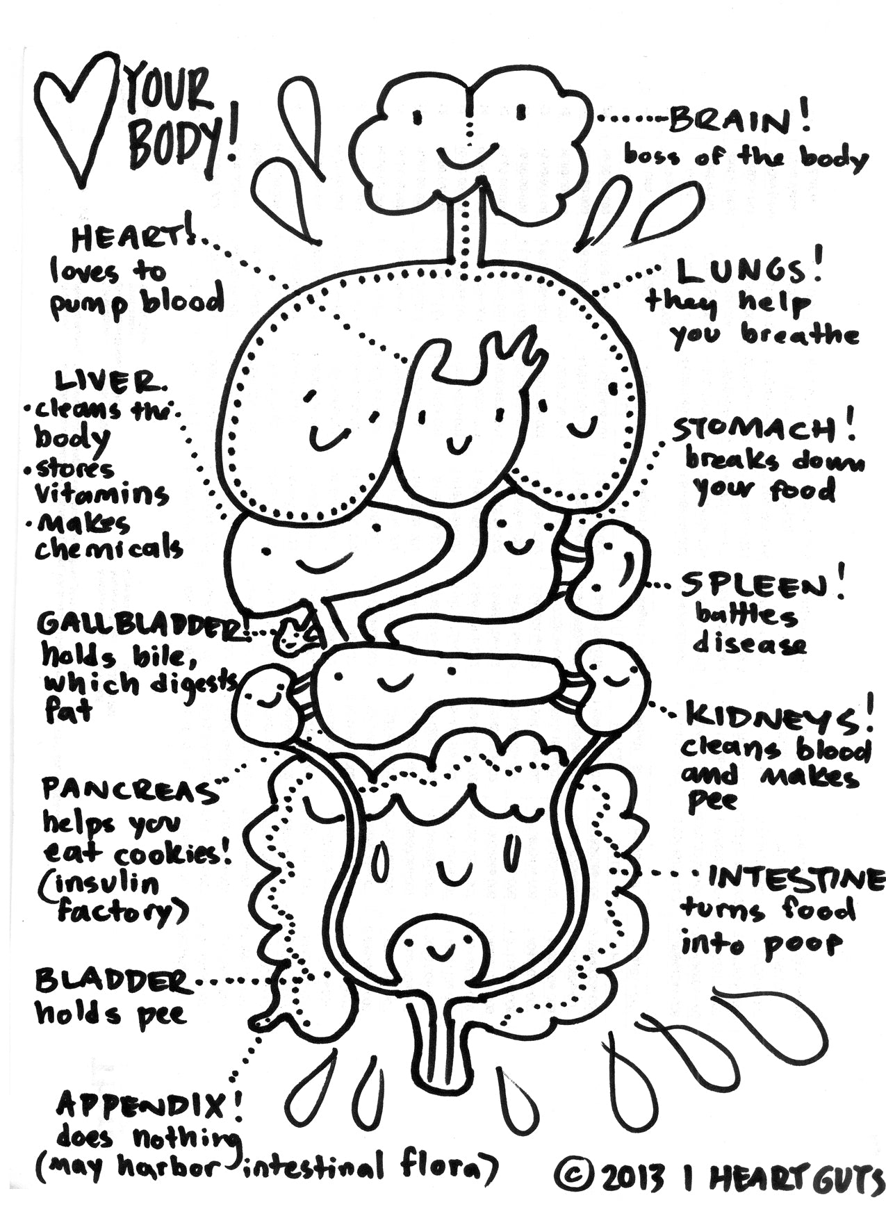 I Heart Guts tagged quotanatomy coloring bookquot