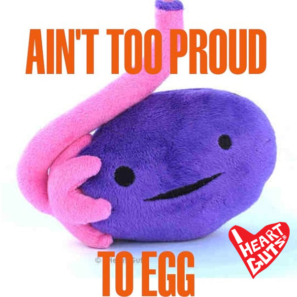 ovary-too-proud-to-egg