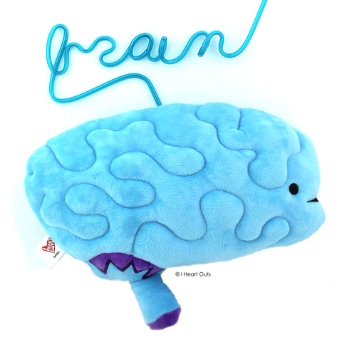 Brain Plush Toy