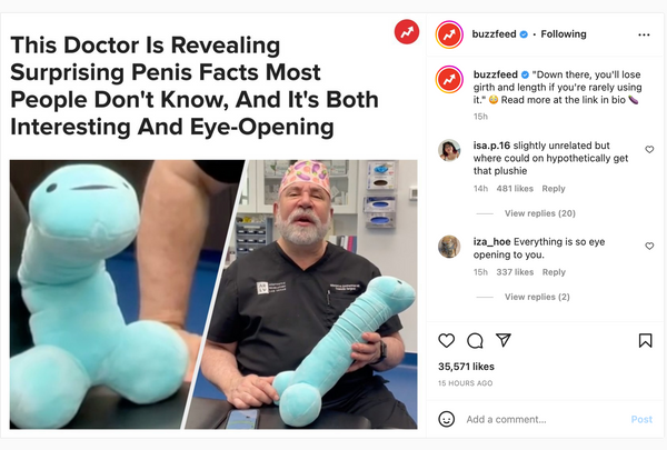 Penis Doctor Tiktok plushie peen pickle prop richard pecker gag gift penis facts