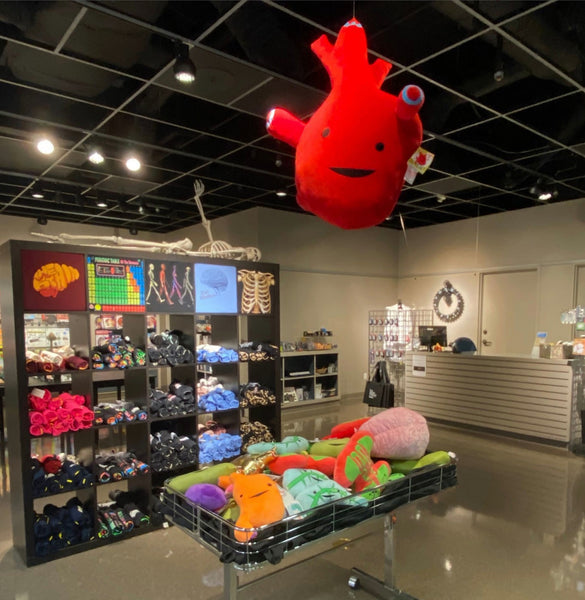 houston museum of science gift shop