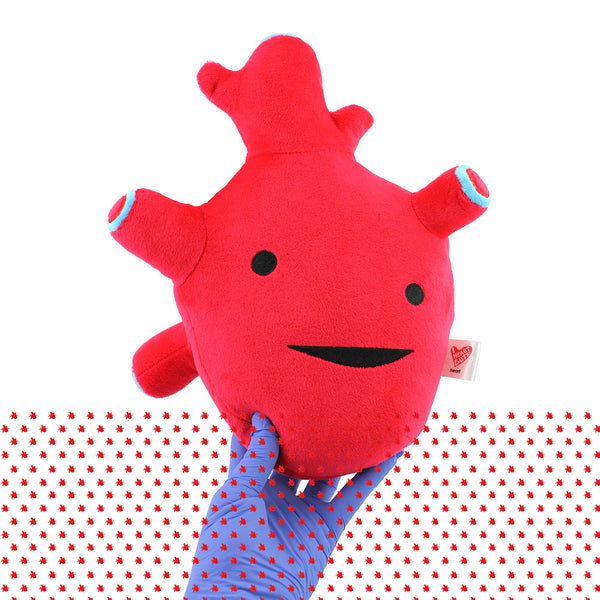 Heart plush - valentine anatomy nerds - cute heart plush with cardiology info