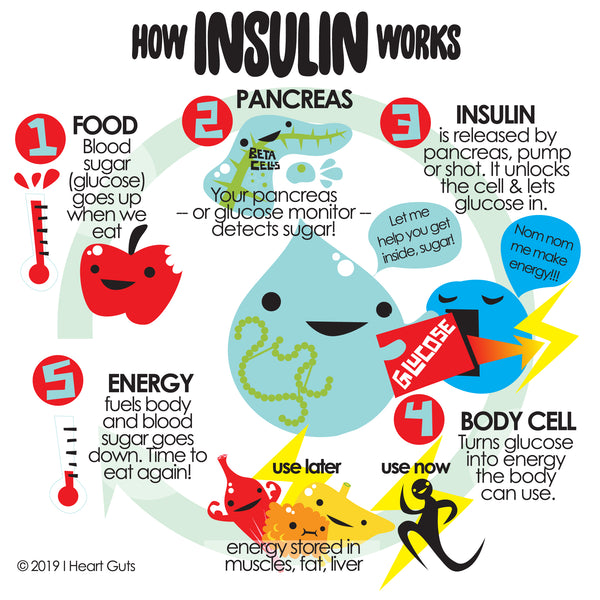How Insulin Works
