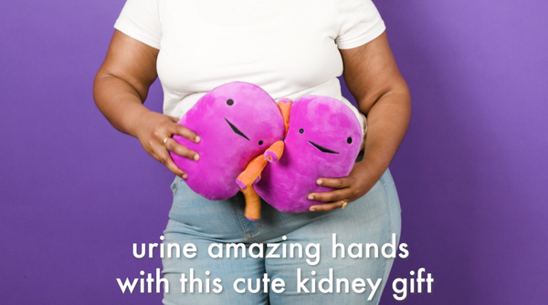 kidney plushies amazing gift surgery kidney transplant donor gift giving organs donate organs