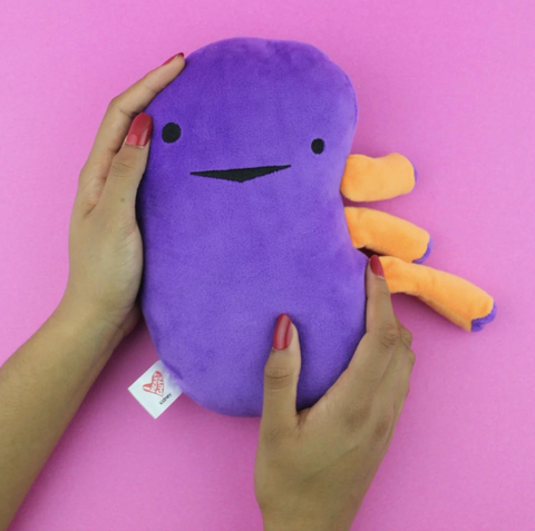 Kidney Plush - When Urine Love! - Plush Organ Stuffed Toy Pillow - Anatomy Plushie - Organ Plush - I Heart Guts