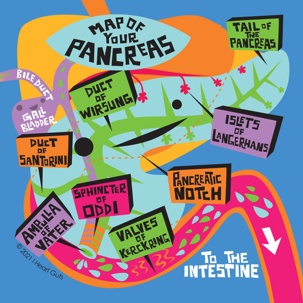 Pancreas Parts