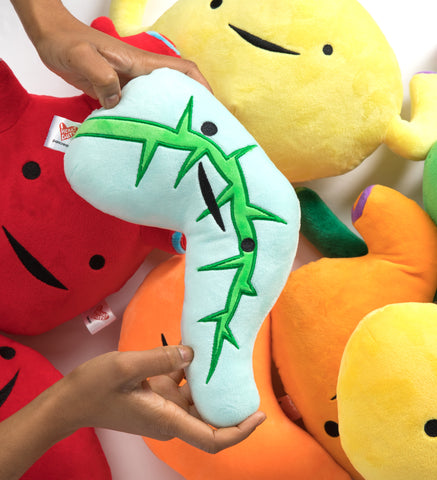 Photograph of hands holding a pancreas plush toy. The pancreas plush toy is light blue with lime green thorn-like design through the center.