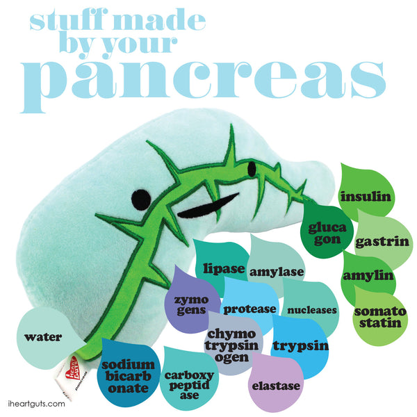 Stuff Made By Your Pancreas