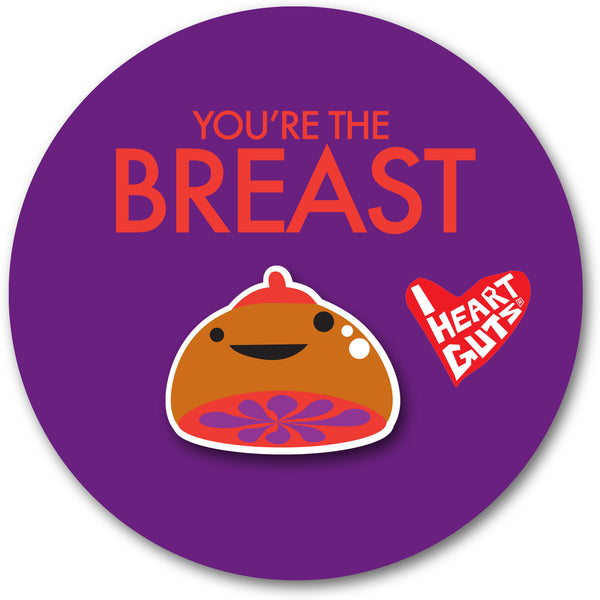 breast pin cute funny mastectomy cancer humor joke gift novelty save the tatas boobies boobs