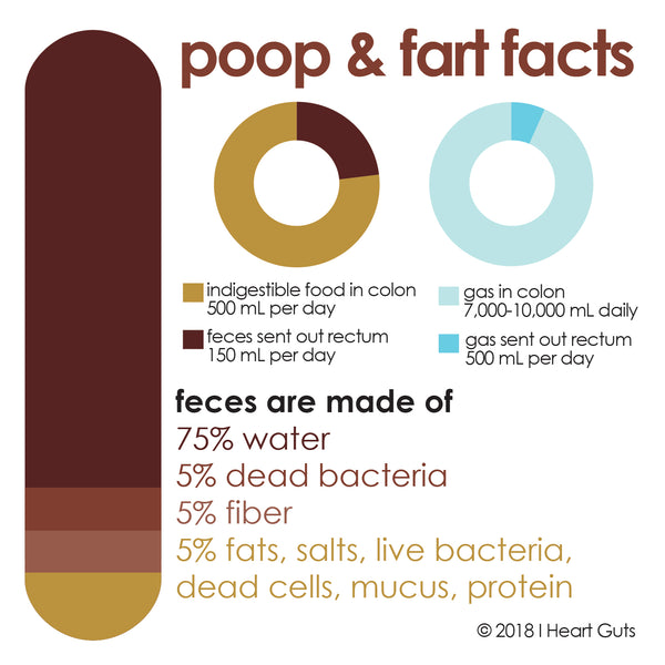 poop and fart facts