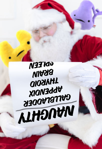 santa naughty list