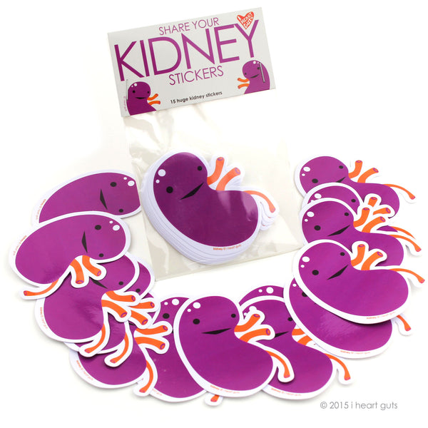 Kidney Stickers fun cute