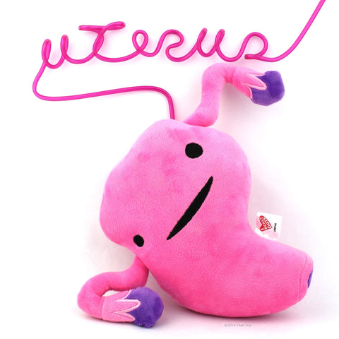 Uterus Plush | Uterus Pillow | Organ Pillow | Anatomy Pillow