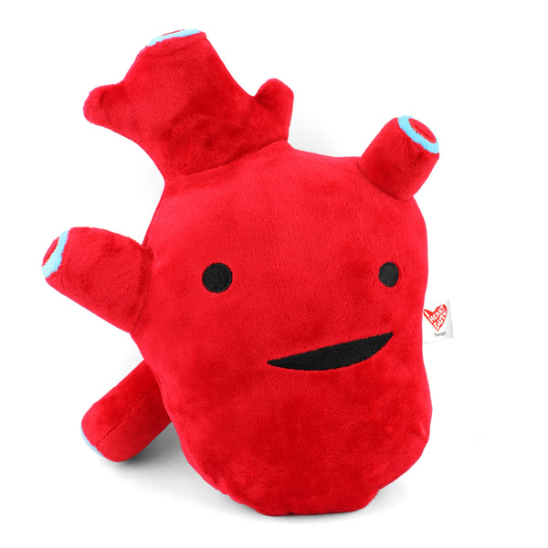 stuffed anatomical heart