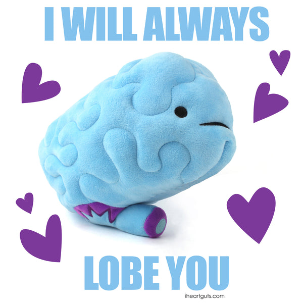 brain stuffed animal