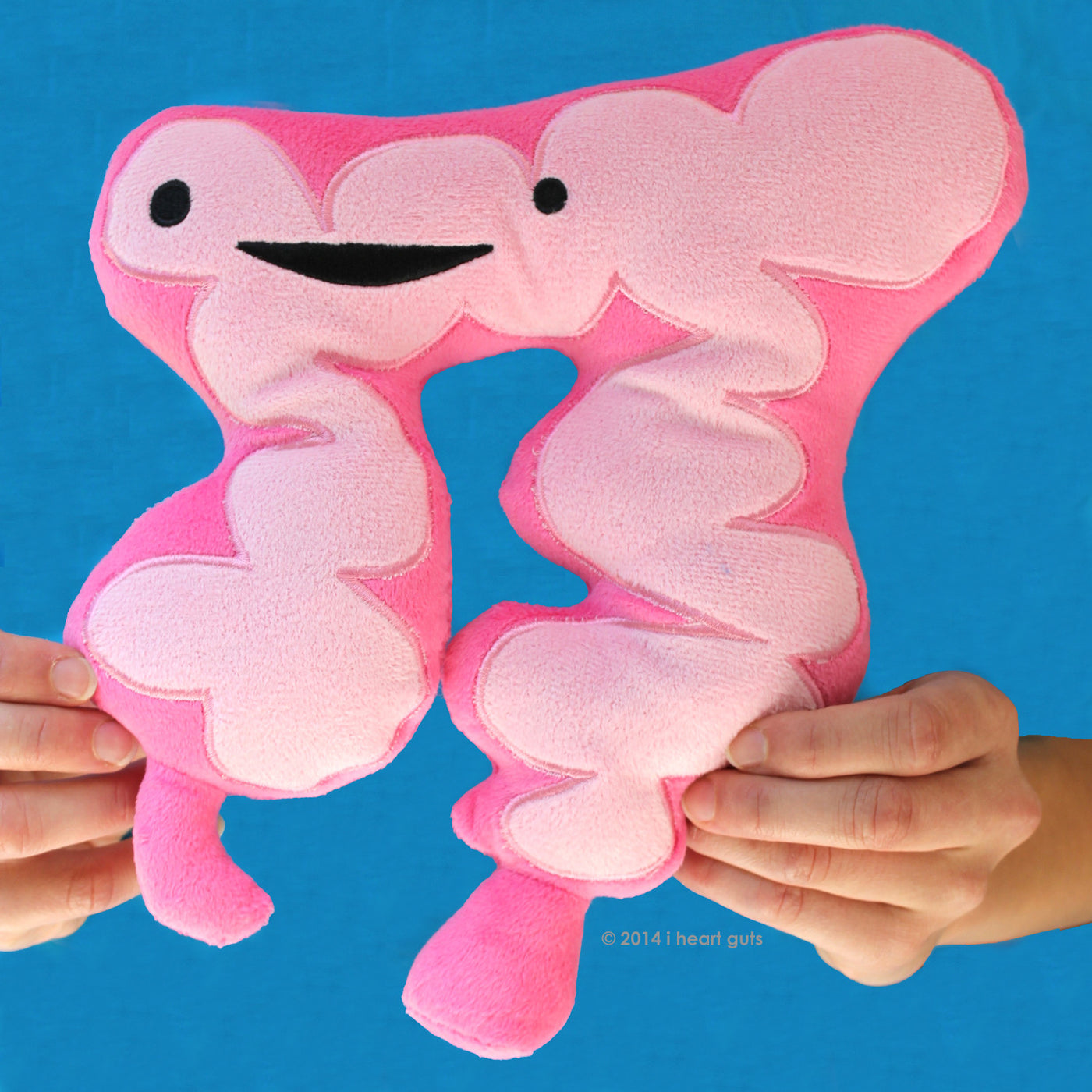 colon plush