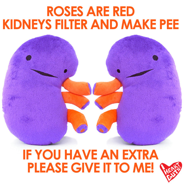 kidney plush