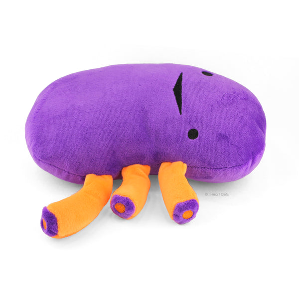 kidney plush