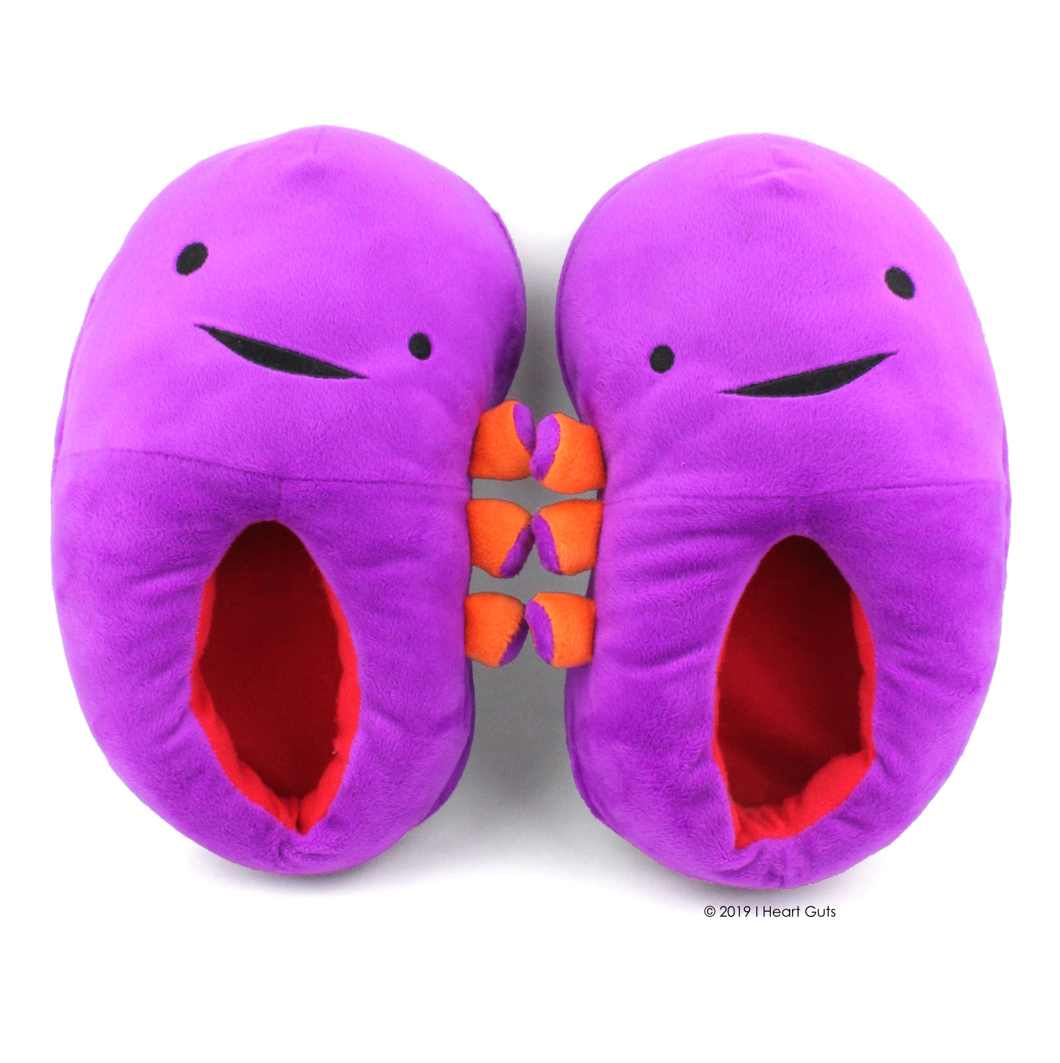 Kidney Plush Slippers - Women's Shoe Size 5-9 / Kids Youth Shoe Size 3-6