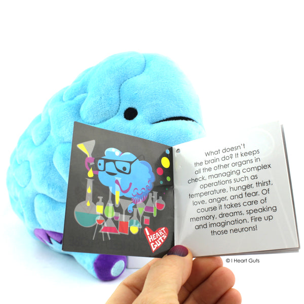 brain plush toy